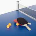 Table de ping-pong pliante 160x80 intérieur et extérieur en filet Backspin Catalogue