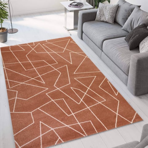 Modern woonkamer tapijt geometrisch design bruin grijs rechthoekig Milano GLO007
