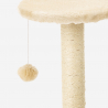 Arbre à chat avec colonne sisal et tunnel en arc 45 cm jeu relax balle Manx Modèle
