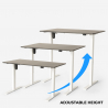 Elektrisch in hoogte verstelbaar design bureau 120x60 cm Standwalk Karakteristieken