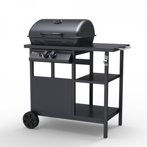 RVS barbecue BBQ op gas met 2 pits grillrooster Bagnét Verd Aanbieding