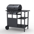 Barbecue BBQ à gaz en acier inoxydable 2 brûleurs grille Bagnét Verd Promotion