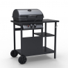 RVS barbecue BBQ op gas met 2 pits grillrooster Bagnét Verd Korting