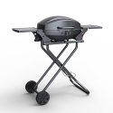 Barbecue Gaz Portable en Acier Inoxydable Brûleur Grill Bernese Promotion