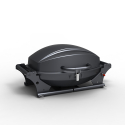Barbecue Gaz Portable en Acier Inoxydable Brûleur Grill Bernese Choix