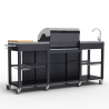 Barbecue gas RVS BBQ 4 + 1 branders spoelbak planken rek Tartara Voorraad