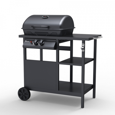 Barbecue BBQ gas RVS 2 pits grillrooster Bagnét Verd Fr