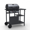 Barbecue BBQ gas RVS 2 pits grillrooster Bagnét Verd Fr Korting