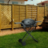 BBQ draagbare roestvrijstalen barbecue op gas Bernese Verkoop