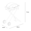 Barbecue Gaz Portable en Acier Inoxydable Brûleur Grill Bernese Modèle