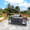 Barbecue gas RVS BBQ 4 + 1 branders spoelbak planken rek Tartara Aanbod