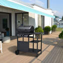 Barbecue BBQ gas RVS 2 pits grillrooster Bagnét Verd Fr Verkoop