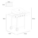 Barbecue gas BBQ van roestvrij staal met 4 + 1 branders en planken Chimichurri Catalogus