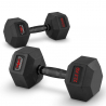 Set van 2 zeshoekige dumbbells halterset van rubber en staal 22,5 kg Goemon Verkoop