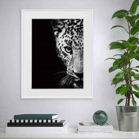 Tableau photographie noir et blanc animaux léopard 40x50cm Variety Kambuku Promotion