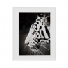 Tableau photographie noir et blanc tigre animaux 40x50cm Variety Harimau Vente