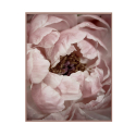 Impression fleurs cadre nature thème floral cadre 40x50cm Variety Duwa Vente