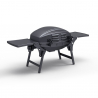 Barbecue Gaz Portable en Acier Inoxydable Brûleur Grill Bernese Réductions