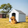 Hondenhok Voor Grote Honden In Kunststof voor Tuin Rock Verkoop