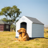 Kunststof hondenhok voor grote honden Rock Verkoop