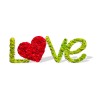 Lettrage végétal mousse lichen décor coeur stabilisé Love Offre