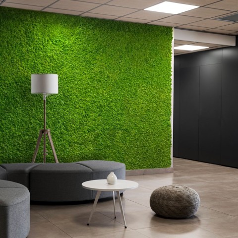 Tableaux végétaux stabilisés 4 60x40cm panneaux GreenBox Kit Lichene Promotion