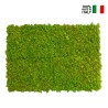 Tableaux végétaux stabilisés 4 60x40cm panneaux GreenBox Kit Lichene Offre