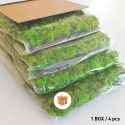 Tableaux végétaux stabilisés 4 60x40cm panneaux GreenBox Kit Lichene Prix