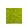 Photos de plantes stabilisées jardin vertical mousse verte Lichen Remises