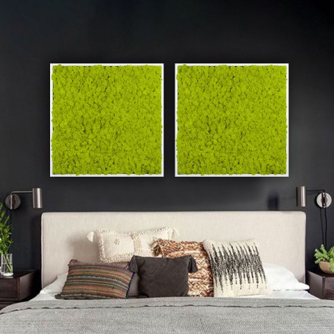 Cadres végétaux stabilisés vert mousse de jardin vertical Lichene